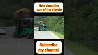Thumbnail: How about the turn of the tricycle|කොහොමද ත්‍රිරෝද රථයේ හැරවිල්ල