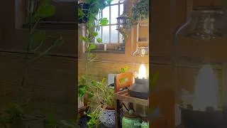 Thumbnail: #kitchendecor with plants #morningbreakfast #morningroutine