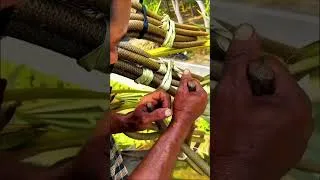 Thumbnail: How Farmers Extract Juice From Tall Palm Trees 🌴 | Traditional Palm Sap Collection #jackfruits