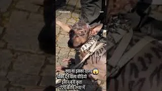 Thumbnail: Insan Bana Kutta 🐶😱 | Emotional Story #trending #viral #220cr