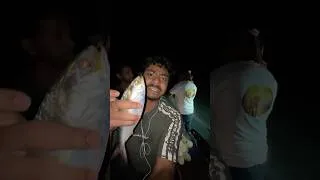 Thumbnail: জ্যান্ত ইলিশ মাছ ধরলাম মাতলা নদী থেকে #sundarban #sundarbans_fish #fishing #ilishmach