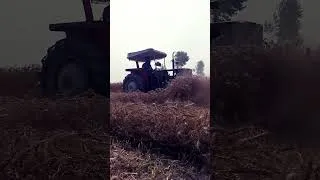 Thumbnail: #villagelife #punjabi #vlog #amir