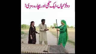 Thumbnail: Ramzi,Noori, Bilo ,Bhootna,Shoki, Sanam, Falak Sher,Funny Video