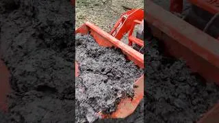 Thumbnail: I Put Swamp Mud in My Garden… Here's What Happened #garden #gardening #raisedbedgardening