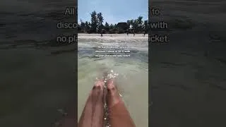Thumbnail: 🌊🌴🥥
