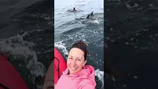 Thumbnail: Bottlenose Dolphins Like Selfies Too #dolphin #coherence #telepathy