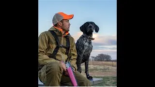 Thumbnail: What Makes The PERFECT Dog?