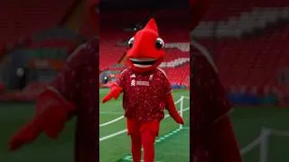 Thumbnail: Mighty Red is expecting a 2-0 victory for Liverpool in their home-opener #PremierLeague #Liverpool