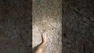 Thumbnail: Put the Ecuses Away, Go Out, and Hike Anyway