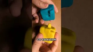 Thumbnail: Co-evolution