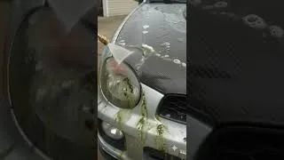 Thumbnail: Super satisfying car detailing of a moldy Subaru WRX #cardetailing #detailing