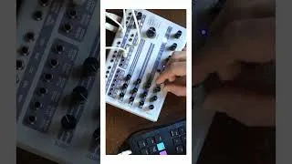 Thumbnail: BIEN JOLIE JUNGLISM #synth #modularsynth #tracker