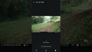 Thumbnail: Cut the Noise & See More Deer | Stealth Cam False Trigger Detection