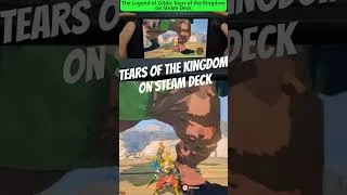 Thumbnail: Tears of the Kingdom on Steam Deck