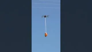 Thumbnail: DIY Drone Delivery 🚁