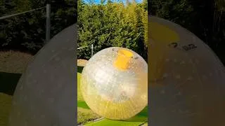 Thumbnail: Would you get in a ZORB?🪩 Zorbing for Kids