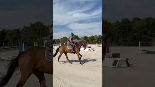 Thumbnail: MINI BARN VLOG 6 #horse #equestrianjourney #equestrian #horsegirl #pony #horseriding