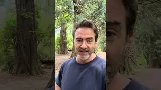Thumbnail: Eight hours of Sleepy Cabin Stories!