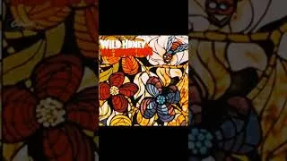 Thumbnail: The Beach Boys  -   Mama Says -   1967  - 5 .1 surround STEREO in