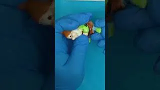 Thumbnail: How to Use 5 Minute Epoxy (Mending Happy) #shorts  #diy #resinexperiment #experiment #stevemcdonald