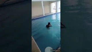 Thumbnail: He Missed Target 😂 😂 😂 #comedyvideo