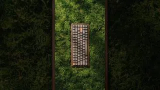 Thumbnail: Keychron K2 All-Wood Edition | A Mechanical Keyboard for the Forest #tech #desksetup #keyboard