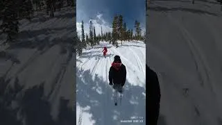 Thumbnail: Tree ride 🌲@WPResort