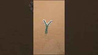 Thumbnail: stem stitch