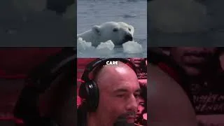 Thumbnail: Joe Rogan on Humans