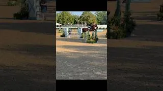 Thumbnail: Course designer really said let’s do a long bending 5 into a triple combination huh #equestrian
