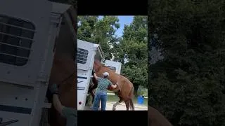 Thumbnail: Setting up at a horse show! Check out my channel for full horse show videos! #horseshow