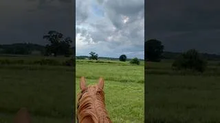 Thumbnail: Friday night summer rides 💕 mud and all #horse #equestrian