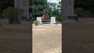 Thumbnail: And I thought we were flying around the course #horse #equestrian #horseshow #horsejumping