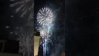 Thumbnail: Fireworks Ahead of Bastille Day Start Fire in Lourdes