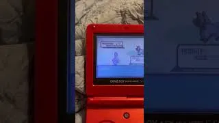 Thumbnail: Shiny Mudkip for Gen 3 badge quest! #pokemon
