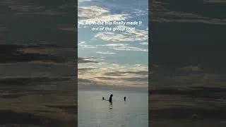 Thumbnail: POV: the trip finally made it out of the group chat