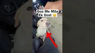 Thumbnail: Goa में Bana नया Dost 😲