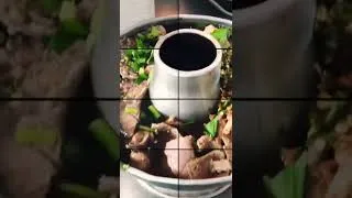 Thumbnail: Hot food today - beef noodle - aromatic soup
