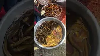 Thumbnail: #streetfood #food