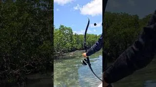 Thumbnail: ISLAND SURVIVAL Bow & Arrow