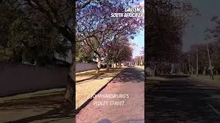 Thumbnail: VIOLET JOHANNESBURG!!! #southafrica #4kdrive #travel#africa #johannesburg #gauteng