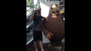 Thumbnail: Classy tourist makes great panamahat trick. Mister Sloth is impressed