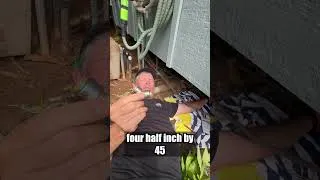Thumbnail: Working For My Dinner in Hawaii!! #plumbing #shower #diy