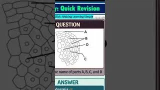 Thumbnail: NEET Biology: Quiz #studyclick #studyclickindia #neet2026 #reneet