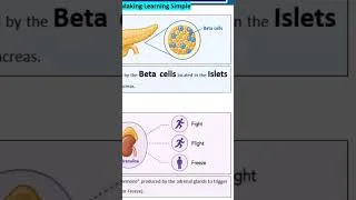 Thumbnail: Biology: Quick Concept #studyclick #studyclickindia #neet2026 #neet2026update Hormones