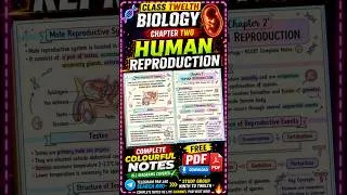 Thumbnail: Class 12 Biology Chapter 2 Notes | Human Reproduction | Free PDF | #cbseboard #shorts #viral