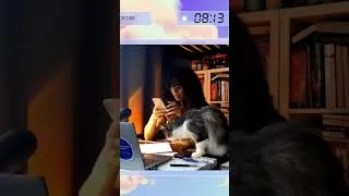 Thumbnail: can your cat do linear algebra?
