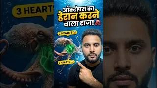 Thumbnail: 🔥 ऑक्टोपस के 3 दिल होते हैं! 😱 ये सच जानकर हैरान रह जाओगे | GK Fact