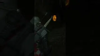 Thumbnail: You're exploring a cave and meet her #thewitcher3 #bug