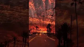Thumbnail: #sunset #roadtrip #chill #vibe 🌅